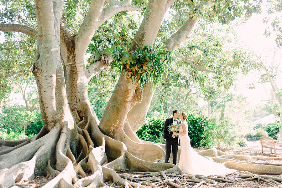couple in front of banyan tree